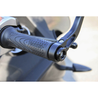 Pesi estremità barra LSL per specchio finale barra,  VESPA,  argento